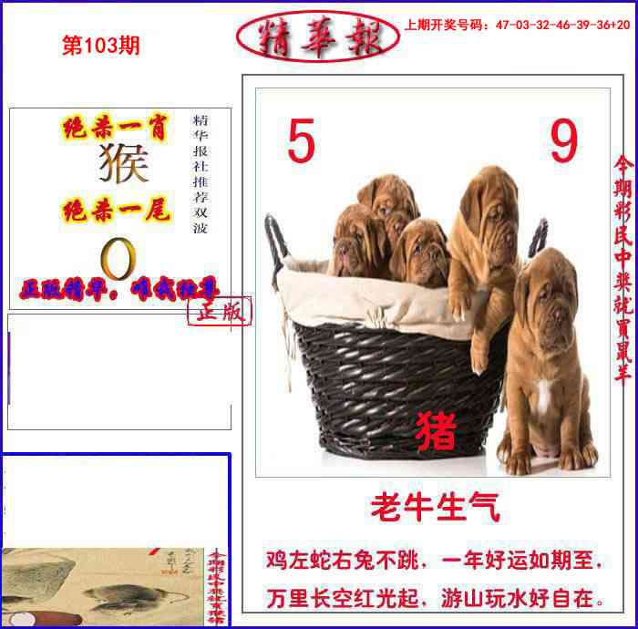 103期新精华报报[图]