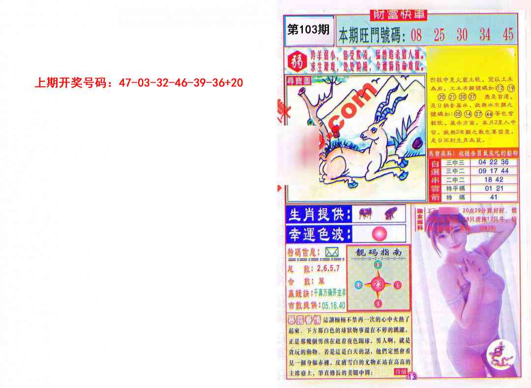 103期财富快车[图]